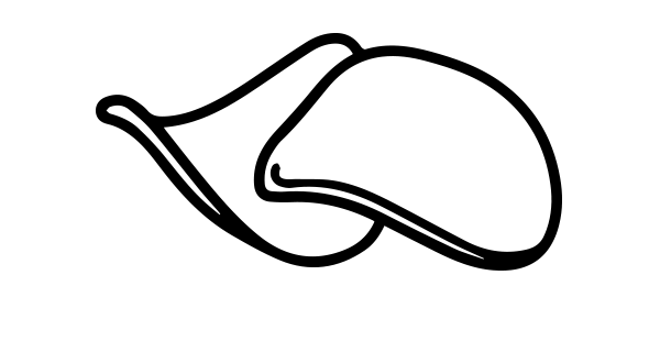 Simple line icon of a crispy chip shape representing the crunchy texture of beef crisps